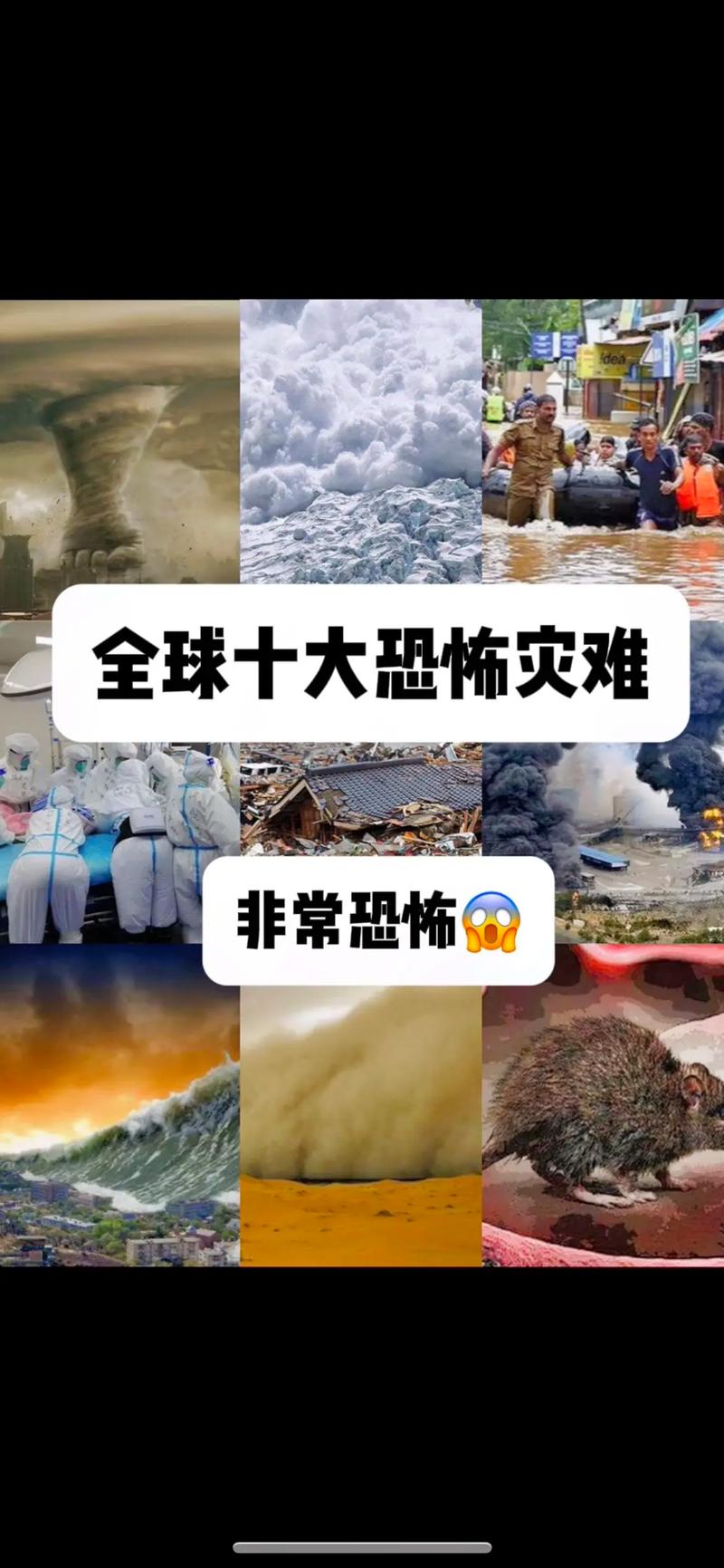 2012青海省地震-522青海地震 2012青海省地震-522青海地震