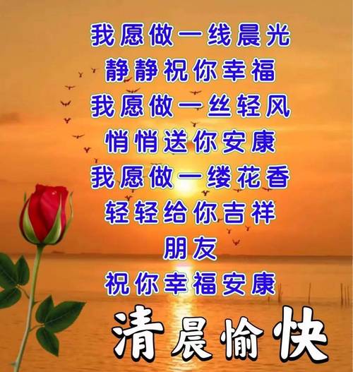 身体健康无出行无来访/身体健康无任何疾病 身体健康无出行无来访/身体健康无任何疾病