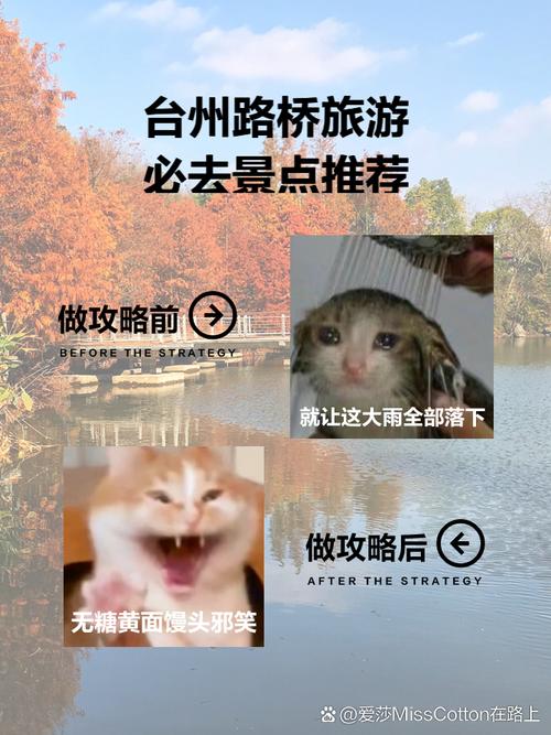 关于“路桥城建章鱼出行贵”你可能想知道