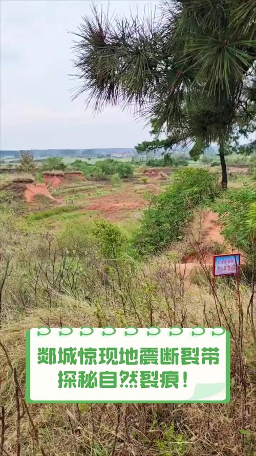 巴马地震几年了,巴马的地磁场强度是多少 巴马地震几年了,巴马的地磁场强度是多少