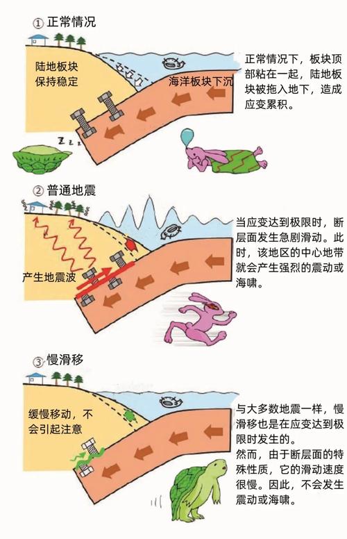 世界地震工程,世界地震工程官方网站 世界地震工程,世界地震工程官方网站