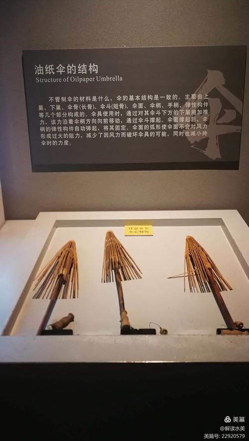 缅甸官员出行打伞/缅甸领导扣押 缅甸官员出行打伞/缅甸领导扣押