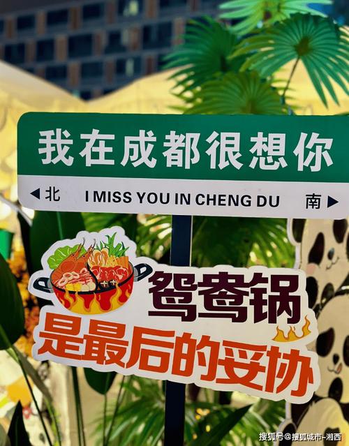 出行宝藏平台推荐,出行宝典下载安装 出行宝藏平台推荐,出行宝典下载安装