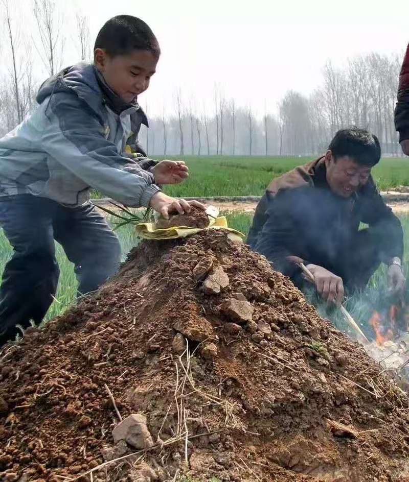 关于“大连市清明节出行要求”你可能想知道 关于“大连市清明节出行要求”你可能想知道