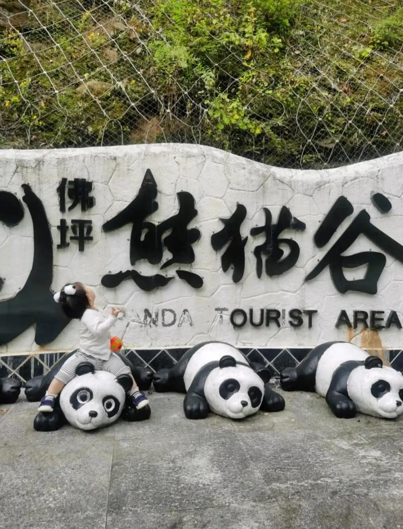 “佛坪出行攻略路线”你不能不知道的事