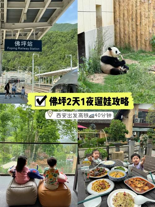 “佛坪出行攻略路线”你不能不知道的事 “佛坪出行攻略路线”你不能不知道的事