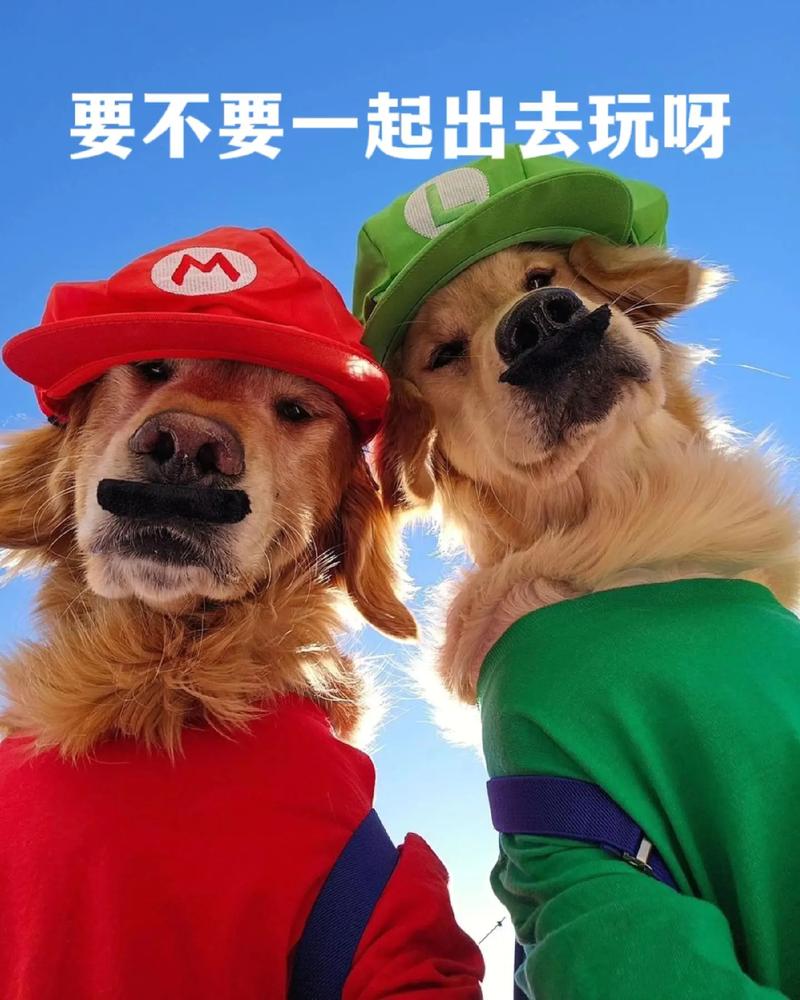 关于“每次出行都会看到什么原因”你可能想知道 关于“每次出行都会看到什么原因”你可能想知道
