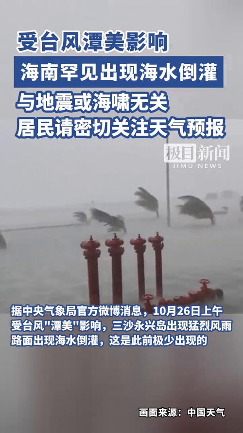 “2019大地震”你不能不知道的事 “2019大地震”你不能不知道的事