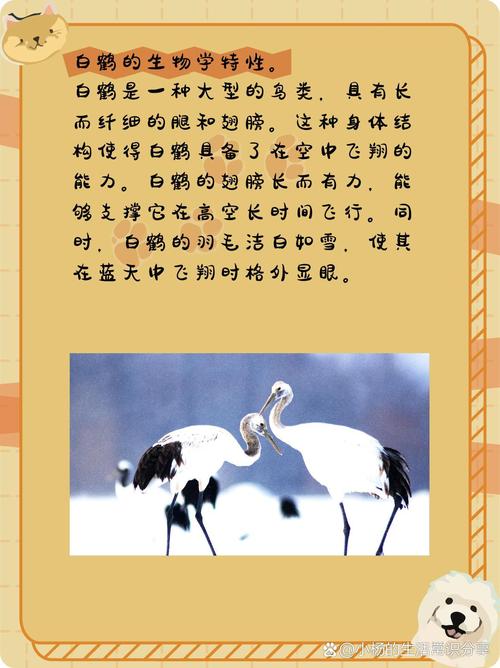 关于“仙鹤延迟几天出行”你可能想知道 关于“仙鹤延迟几天出行”你可能想知道
