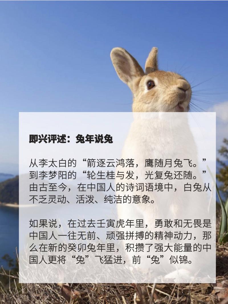 “安安出行好还是国泰出行好”你不能不知道的事 “安安出行好还是国泰出行好”你不能不知道的事