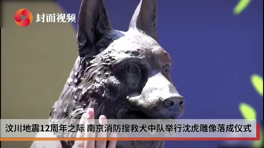 2020南京地震,2020年南京地震 2020南京地震,2020年南京地震