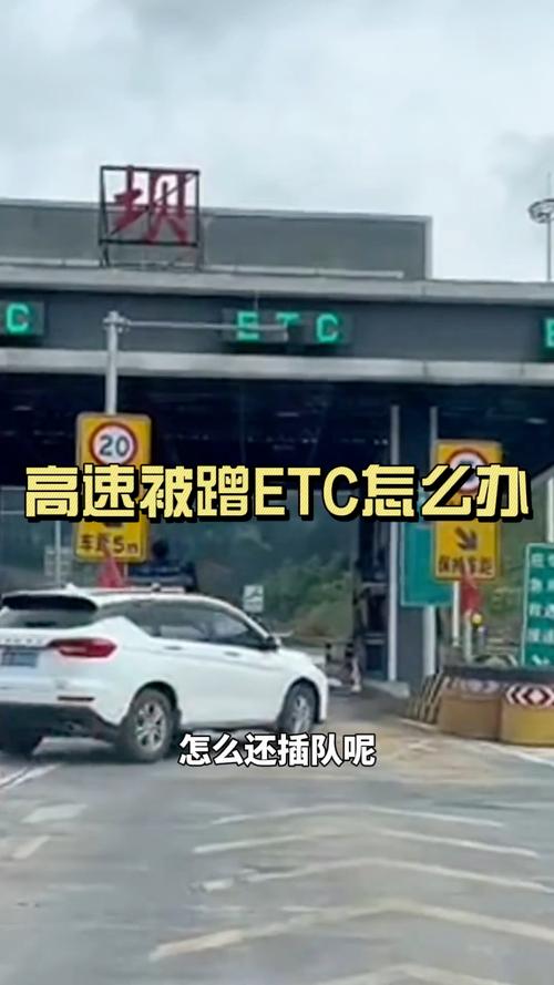 高速便捷绿色出行，高速上绿色通道什么免费拉什么免费