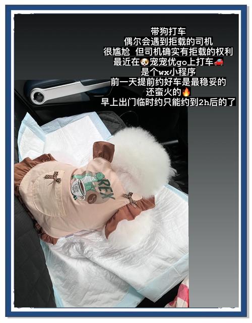 上海没有车怎么出行方便,上海没有车可以申请车牌吗 上海没有车怎么出行方便,上海没有车可以申请车牌吗