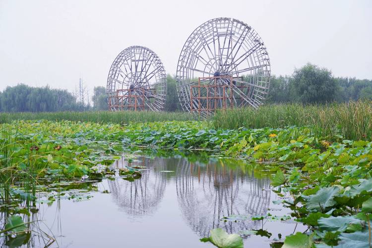 “城南的地震小屋”你不能不知道的事 “城南的地震小屋”你不能不知道的事