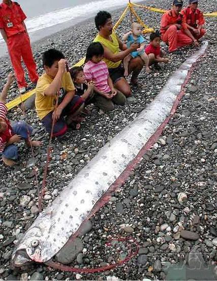 “213汤加群岛地震”你不能不知道的事 “213汤加群岛地震”你不能不知道的事