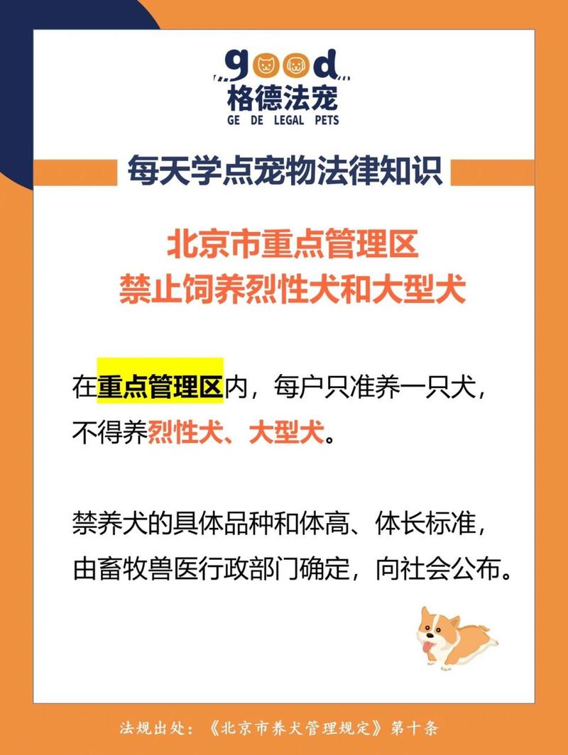 北京哪个区禁止携犬出行-北京禁止遛狗的街道 北京哪个区禁止携犬出行-北京禁止遛狗的街道