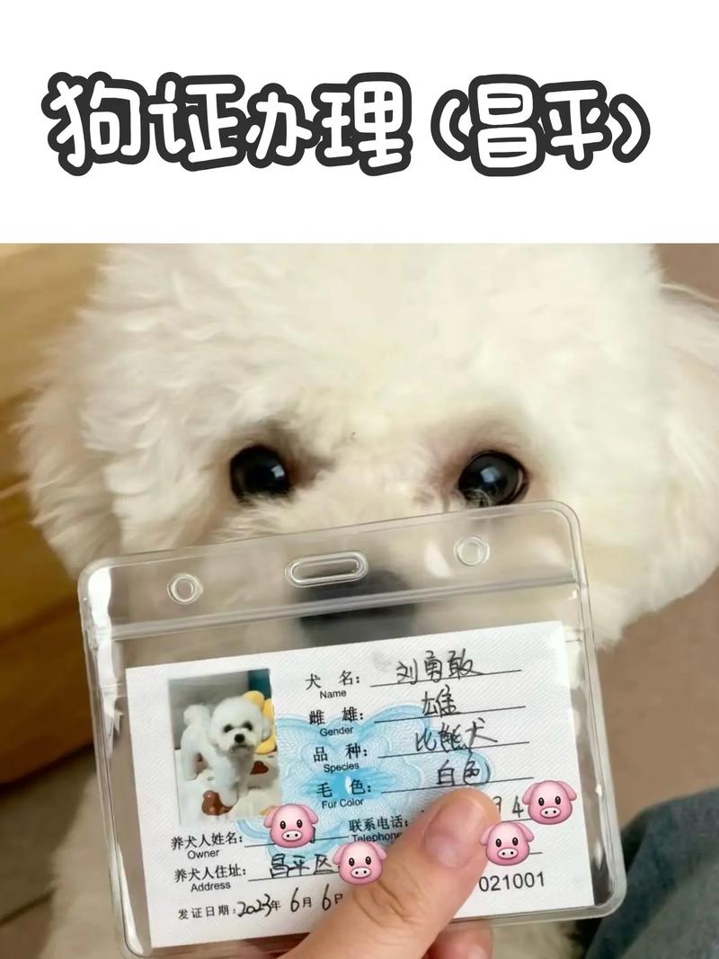 北京哪个区禁止携犬出行-北京禁止遛狗的街道 北京哪个区禁止携犬出行-北京禁止遛狗的街道