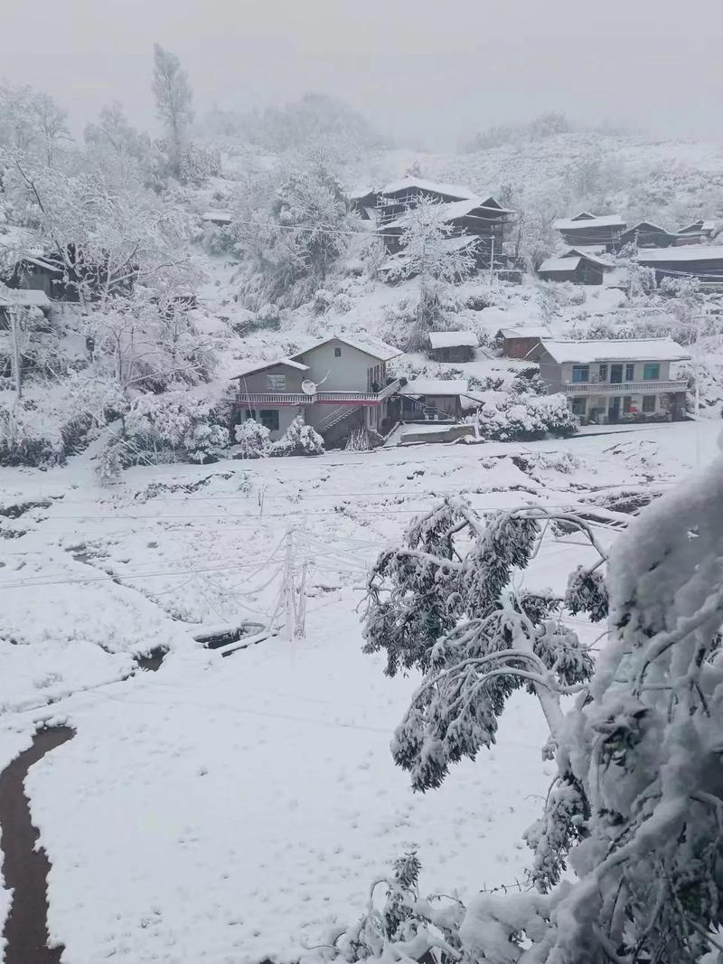 关于“衡阳下雪能出行吗”你可能想知道 关于“衡阳下雪能出行吗”你可能想知道