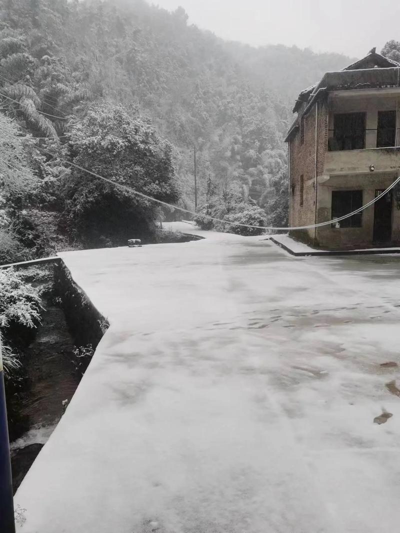 关于“衡阳下雪能出行吗”你可能想知道 关于“衡阳下雪能出行吗”你可能想知道
