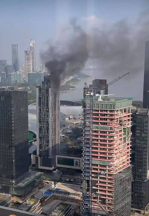“2020年阳江地震”你不能不知道的事 “2020年阳江地震”你不能不知道的事