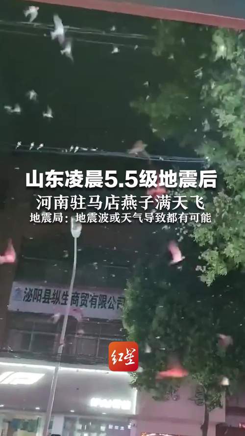 “2017驻马店地震”你不能不知道的事