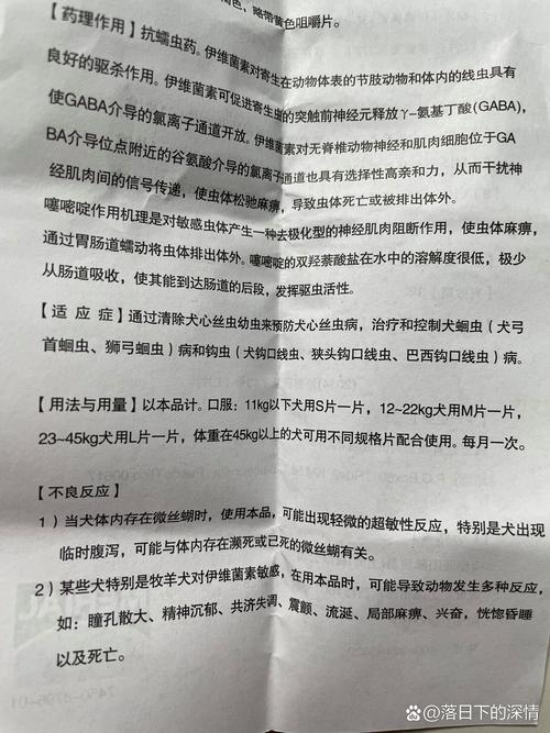 关于“伊畅出行不能用了吗”你可能想知道 关于“伊畅出行不能用了吗”你可能想知道
