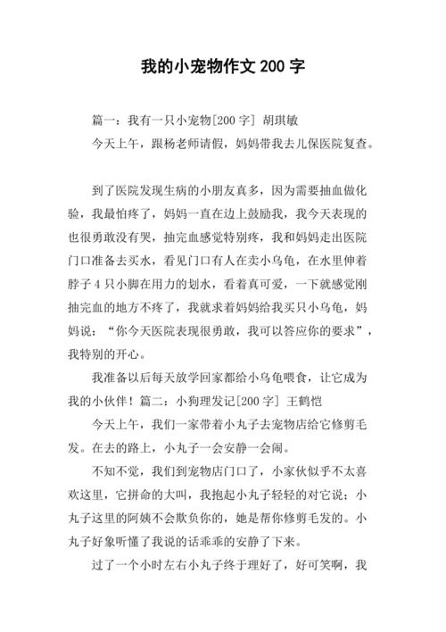 美女宠物出行趣事/美女宠物电影 美女宠物出行趣事/美女宠物电影