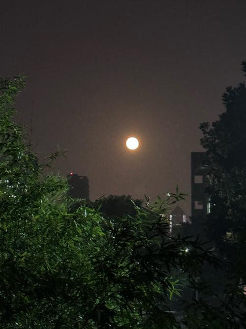 19号沈阳地震了吗,沈阳市刚才地震了12月19日 19号沈阳地震了吗,沈阳市刚才地震了12月19日