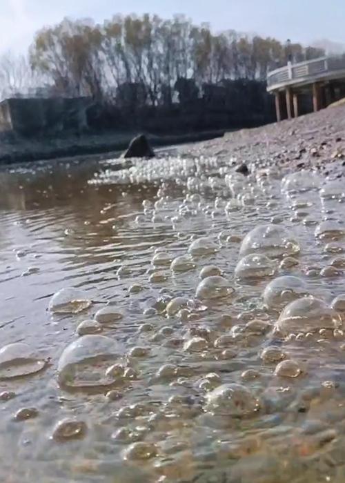 “丹东地震丹东地震了吗”你不能不知道的事