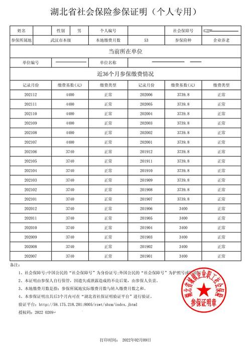 武汉临时出行证明/车辆临时出入证明